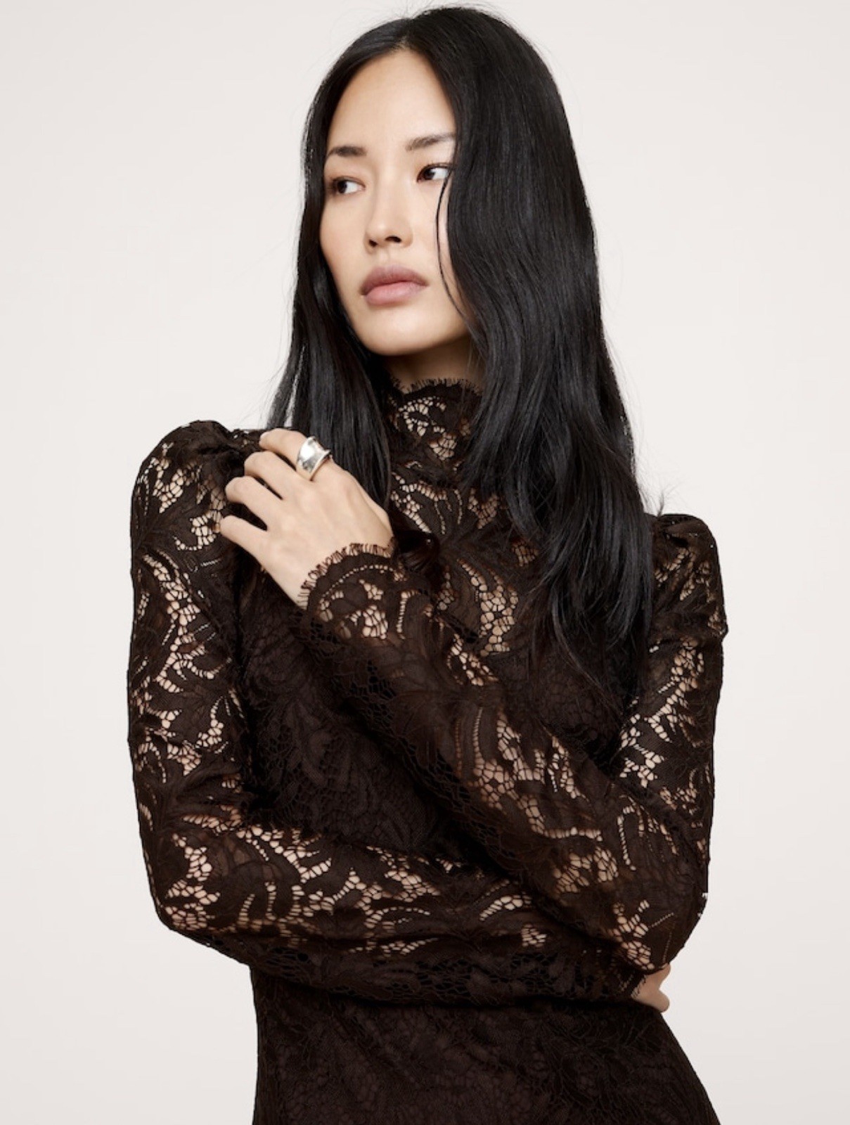 Banana Republic Dark Brown Stretch Lace Mini Dress Size XS NWT RT$150 image 2