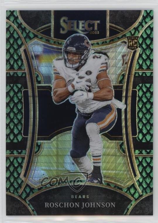 2023 Panini Select Suite Level Dragon Scale Prizm 42/70 Roschon Johnson 19kz