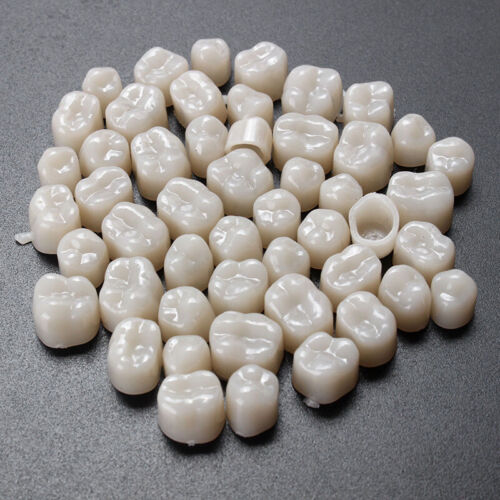 Kit de dientes molares frontales y traseros corona dental temporal de resina 115 un. - Imagen 8 de 10