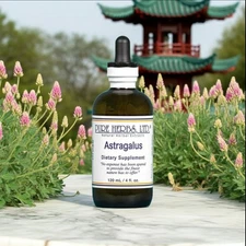 Pure Herbs LTD Astragalas 4oz  Tincture - 1901mg