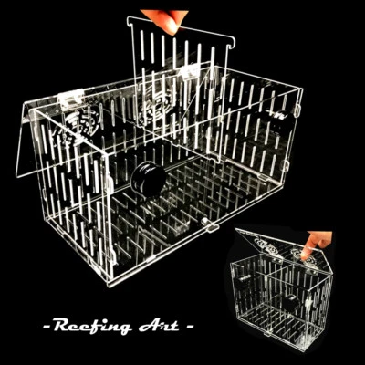 Reefing Art Magnetic Acclimation Breeder Box Anemone Coral Net for 1/2" glass