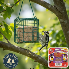 C S Berry Suet Treat Bird Cake 11.75 oz Large Suet Basket Feeder Combo