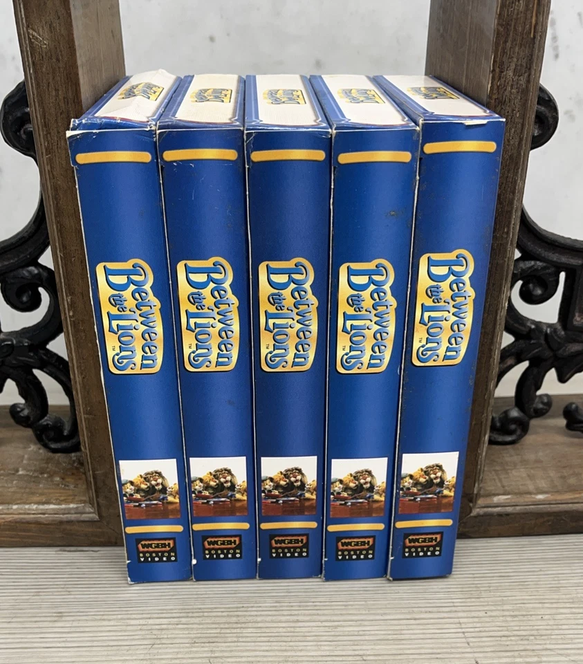 Lot Of 5 Between The Lions, VHS, PBS Kids TV Videos, Educational, Home School Foto 3 de 4