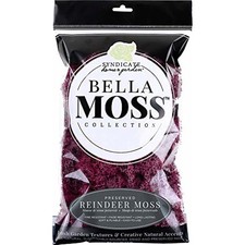 Bella Moss Preserved Reindeer Decorative Moss, Sangria, 80 cu in.