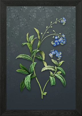 Water Forget Me Not Framed Wall Art Poster Canvas Print Picture