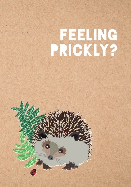 Feeling Prickly Journal by Matt Garczynski PAPERBACK 9780762494033