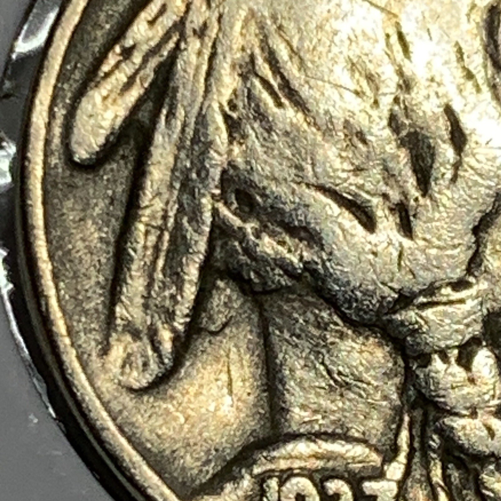 Picture 4 of 8