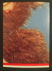 Picture 2 of 2