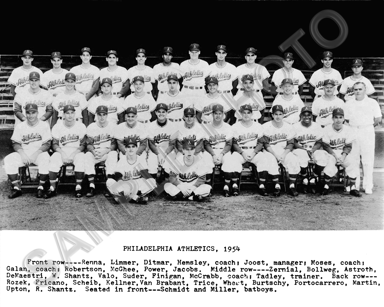 1954 PHILADELPHIA ATHLETICS BASEBALL 8X10 TEAM PHOTO eBay