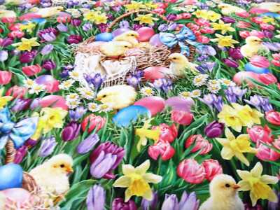 Küken Chick  Eier Osterkorb Ostern Timeless Patchwokstoff  Baumwolle  50x110  cm