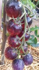 Bild 2 von 12