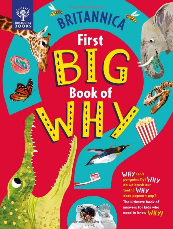 Britannica First Big Book of Why by Sally Symes,  Drimmer,  S... - 9781913750411 - Image 3