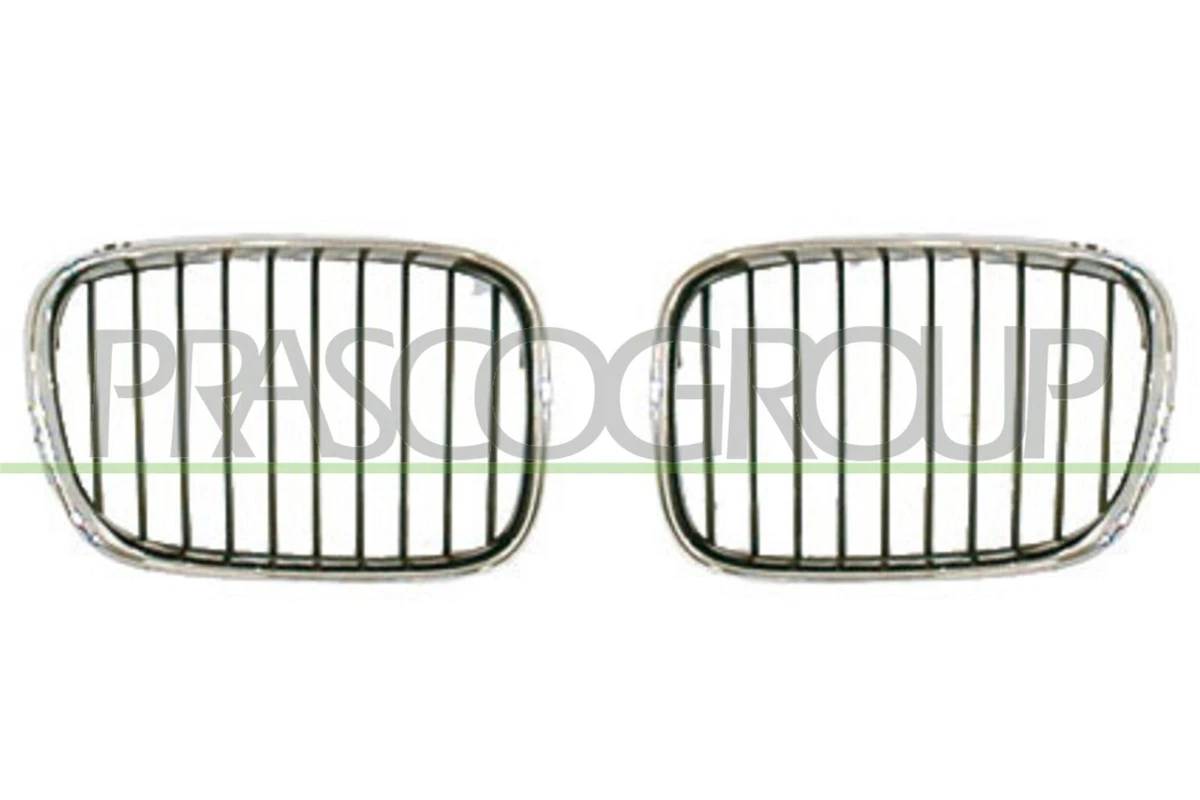 Grille de radiateur BM0452013 PRASCO pour BMW