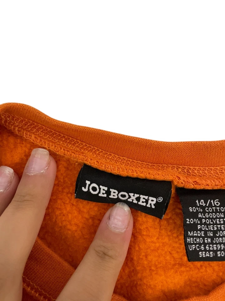 Joe Boxer Unisex Adolescente Sudadera 14/16 Leones Atletismo Naranja Cuello Redondo Pullover Foto 3 de 4