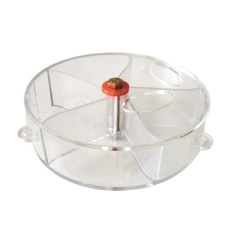 Parrot Feeder Easily Install Educational Wheel Training Toy Bird Feeder Durable - Picture 4 of 7