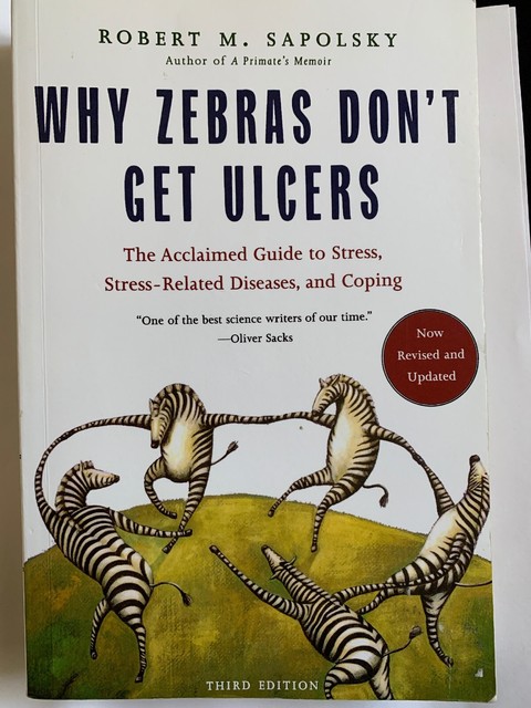 10+ Why Zebras Don&#039;t Get Ulcers Deutsch Background