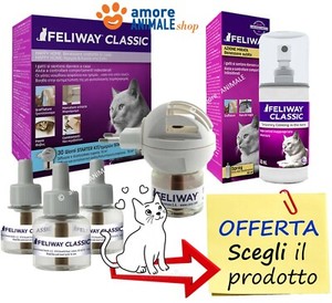 feliway spray