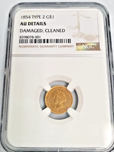 1854 Type 2 G$1 Indian Princess Gold Dollar AU Details DMG NGC S156