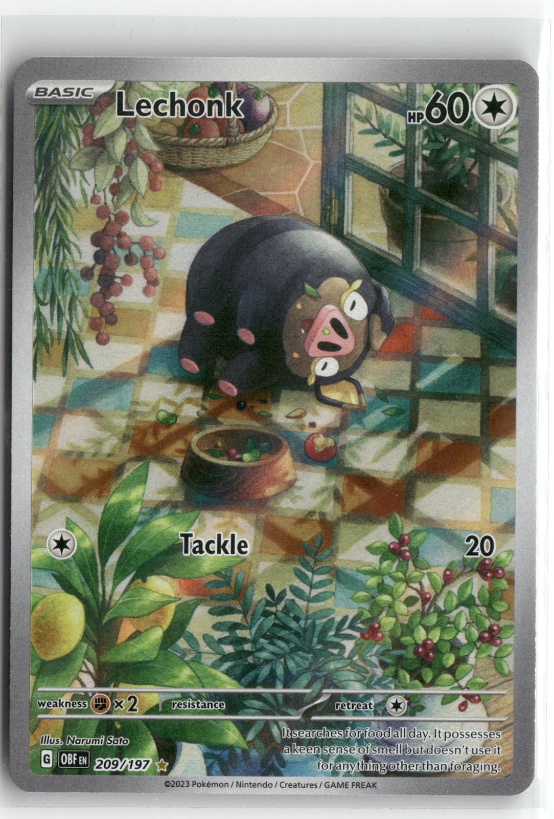Lechonk 209 Obsidian Flames Pokemon Illustration Rare Near Mint