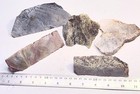 Petrified Wood - Plasma Agate- Mt Maury Moss Agate - Quartz Slab - Cabbing Rough — photo 2