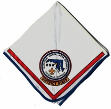 Vtg Potomac District STAFF National Capital Area Council R-W-B Neckerchief BSA