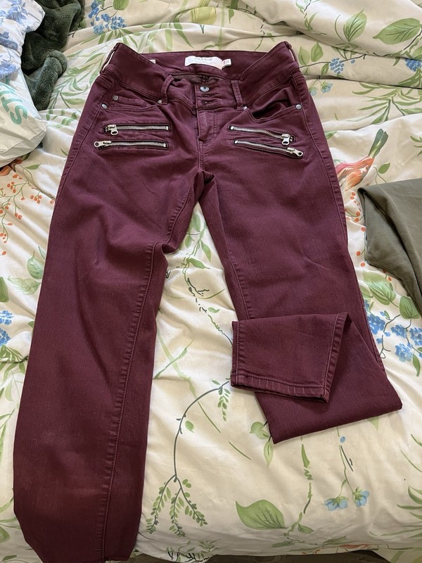 Torrid Moto Pants