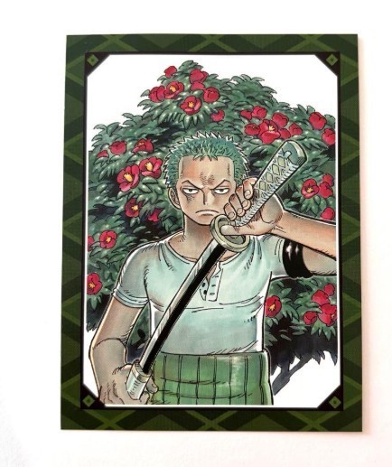 One Piece Zoro Promo Card Novel Zoro JUMP Books Japanese First