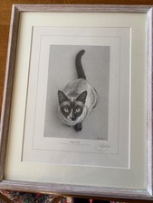 Signierte Drucke von Kevin Hayler Zeichnungen 'Hübsch sitzend' 'Auf der Pirsch' - gerahmt