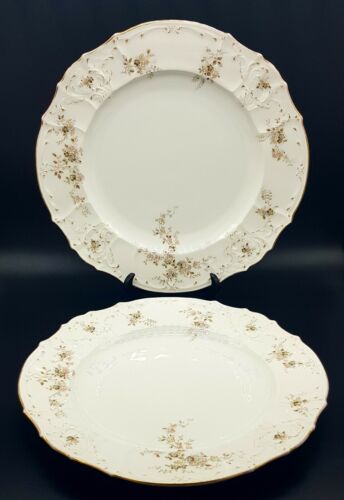 A Pair Of Rare Haas & Czjzek Schlaggenwald Bohemia Art Nouveau Dinner Plates - Picture 1 of 12