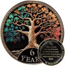 Sobriety Coin Gift Set 6 Year Tree of Life AA Chip with Capsule Stand and Card