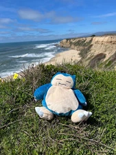 Snorlax Chalk Bag Rock Climb