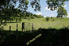 Photo 6x4 Fence Line in Kent Crockham Hill Close to the county boundary w c2015