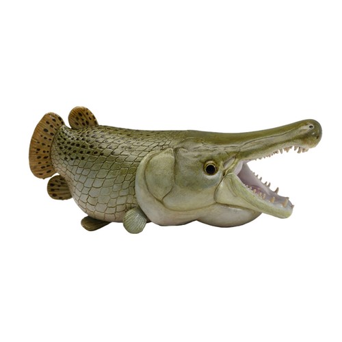 Animal Alligator Gar Model Atractosteus spatula Animal Figure