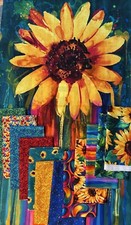 Timeless Treasures Sundance - 12 Half Yard Cuts with 24" Panel Bundle