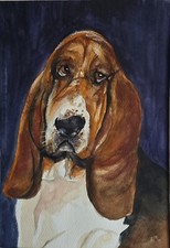 Bassett Hound eccentrico acquerello originale contemporaneo regalo unico incorniciato 