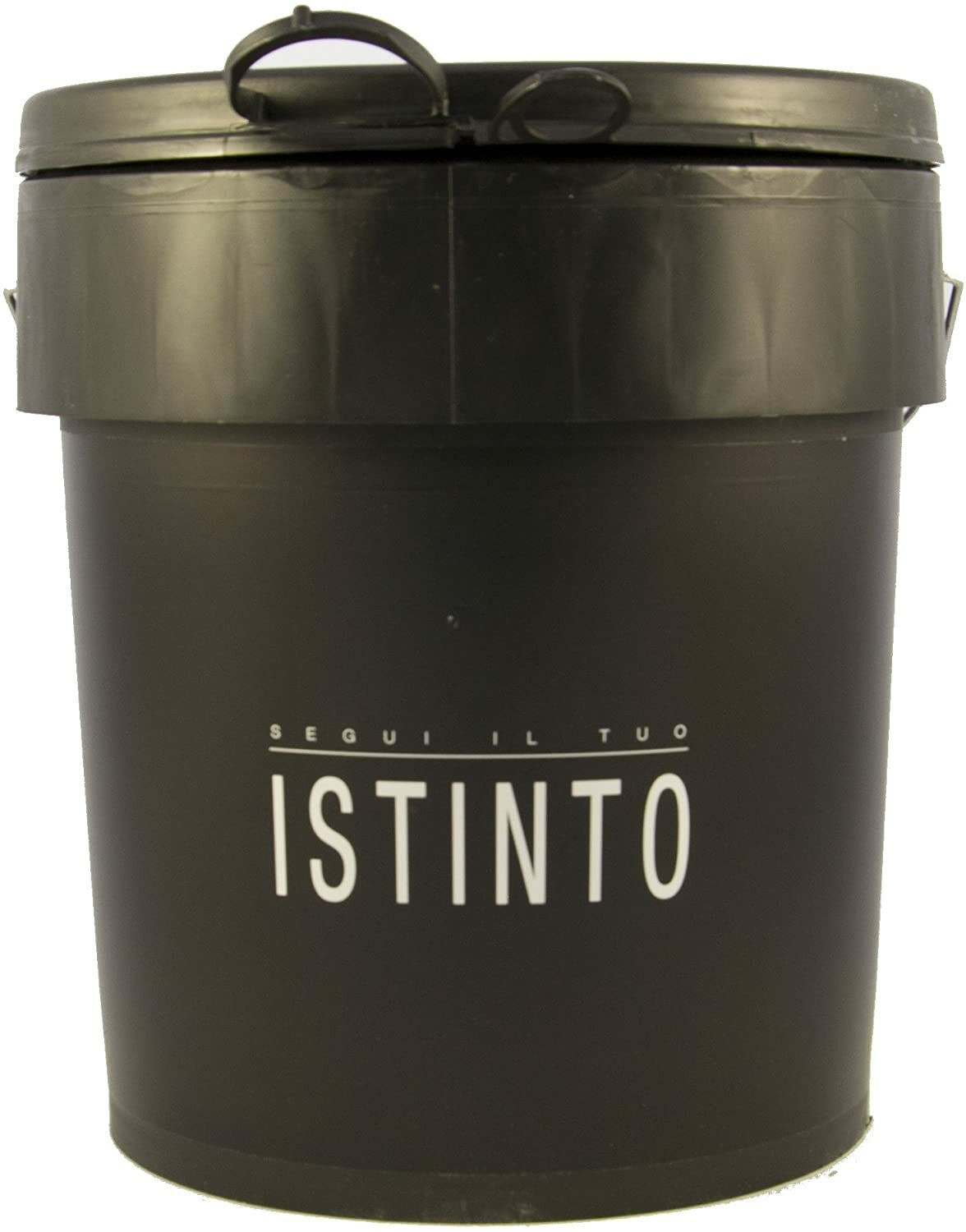 Segui il Tuo Istinto Giorgio Graesan Formati Vari Art. 1070