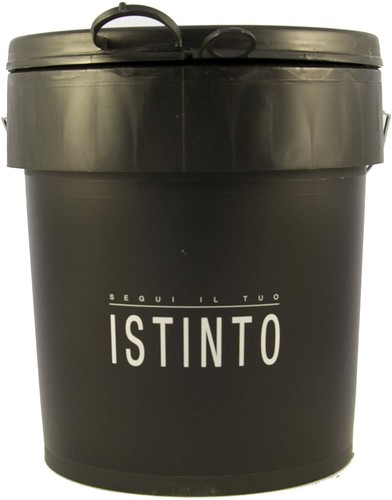 Segui il Tuo Istinto Giorgio Graesan Formati Vari Art. 1070