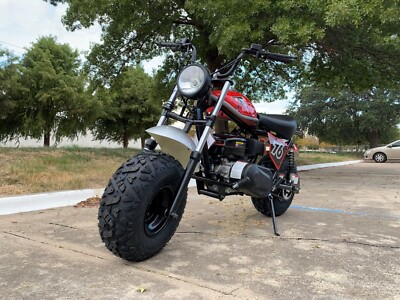 Trailmaster Hurricane Mini Bike 200X with Torque Converter