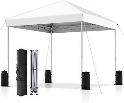SANWAY 10X10 Pop up Canopy Tent, One Push Setup, Heavy Duty Portable for Beach C