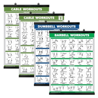 Palace Learning 4 Pack - Cable Machine Workout 18'' x 24'', WITH PLASTIC FRAME