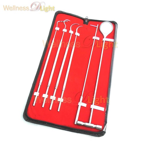 WDL 6 Pcs Equine Dental Pick Probe Scalers Veterinary Instruments Kit - Picture 3 of 3