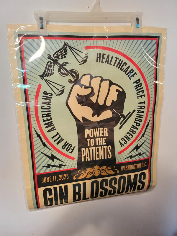GIN BLOSSOMS June 2025 Washington DC "POWER TO THE PATIENTS" Concert Poster