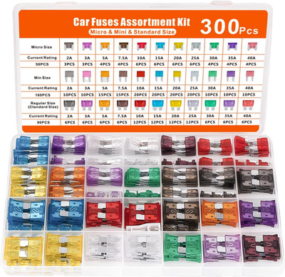 300 PCS Car Fuses Assortment Kit, 160 PCS Mini Blade Fuses + 90 Standard Automot