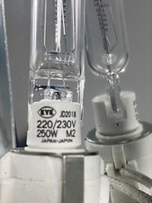Iwasaki Electric Bulb JD2018 220/230V 250W MD