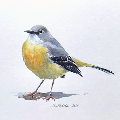 Bachstelze Aquarell Gemälde signiert Original ungerahmtes Kunstwerk (kein Druck)
