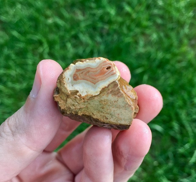 Beautiful Kentucky Agate Sliced Nodule with Red Gray from Estill County