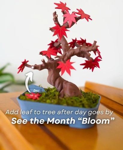Stunning Bonsai 365 Desk Calendar – Japanese Maple - Tree Design by ForgeCore - Picture 4 of 6