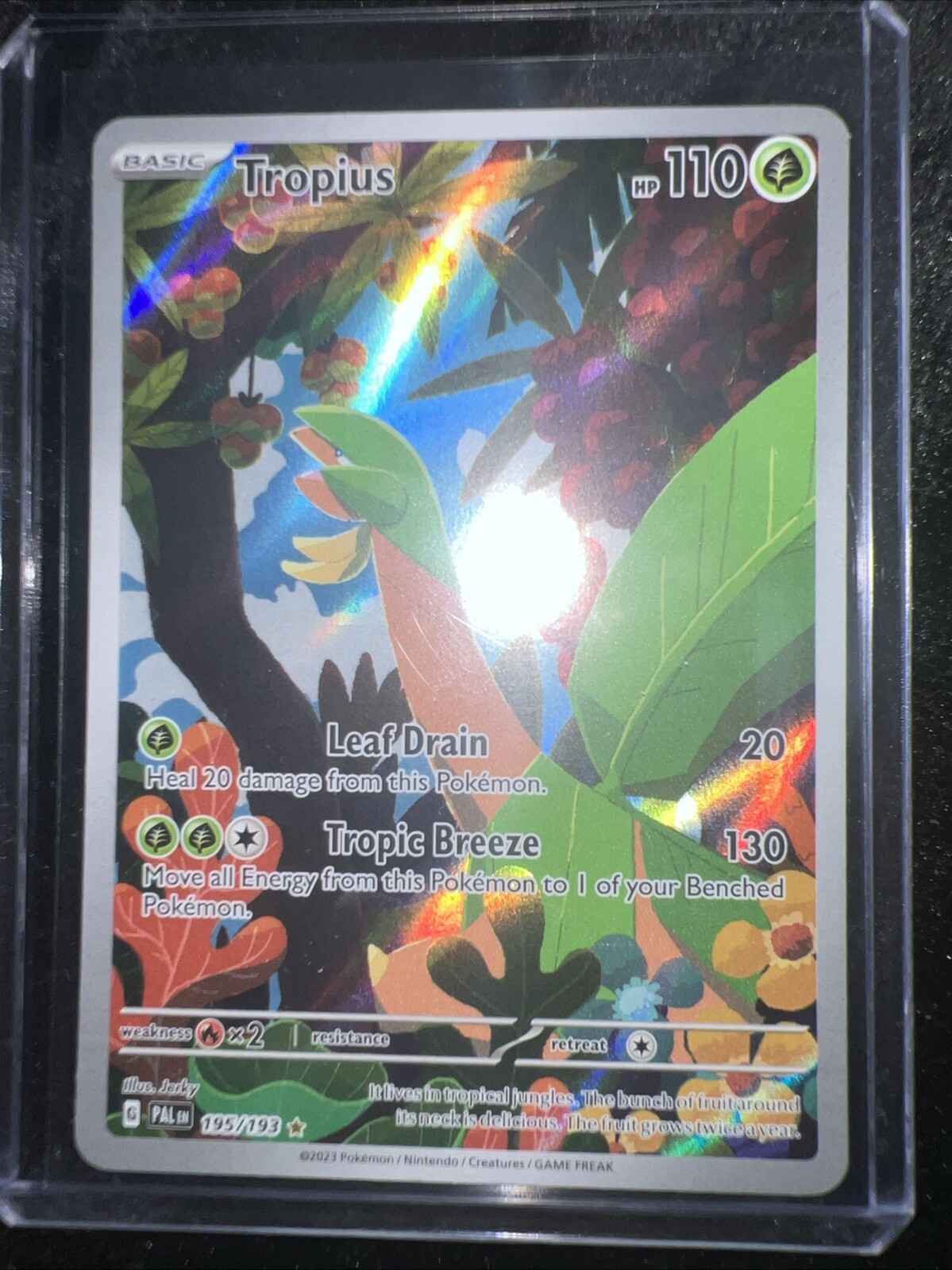 Tropius 195/193 Sv02: Paldea Evolved Holo