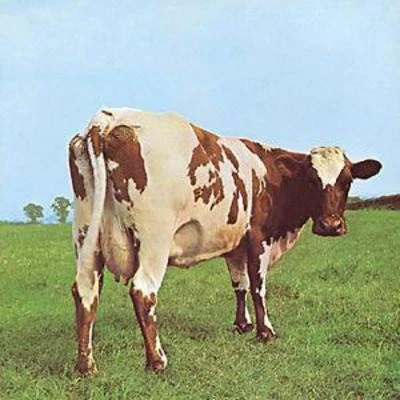 Pink Floyd - Atom Heart Mother (1994) for sale online | eBay UK