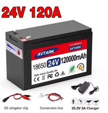 24V LiFePO4 120Ah Electric Vehicle Li-ion Battery Pack 120Ah Built-in BMS